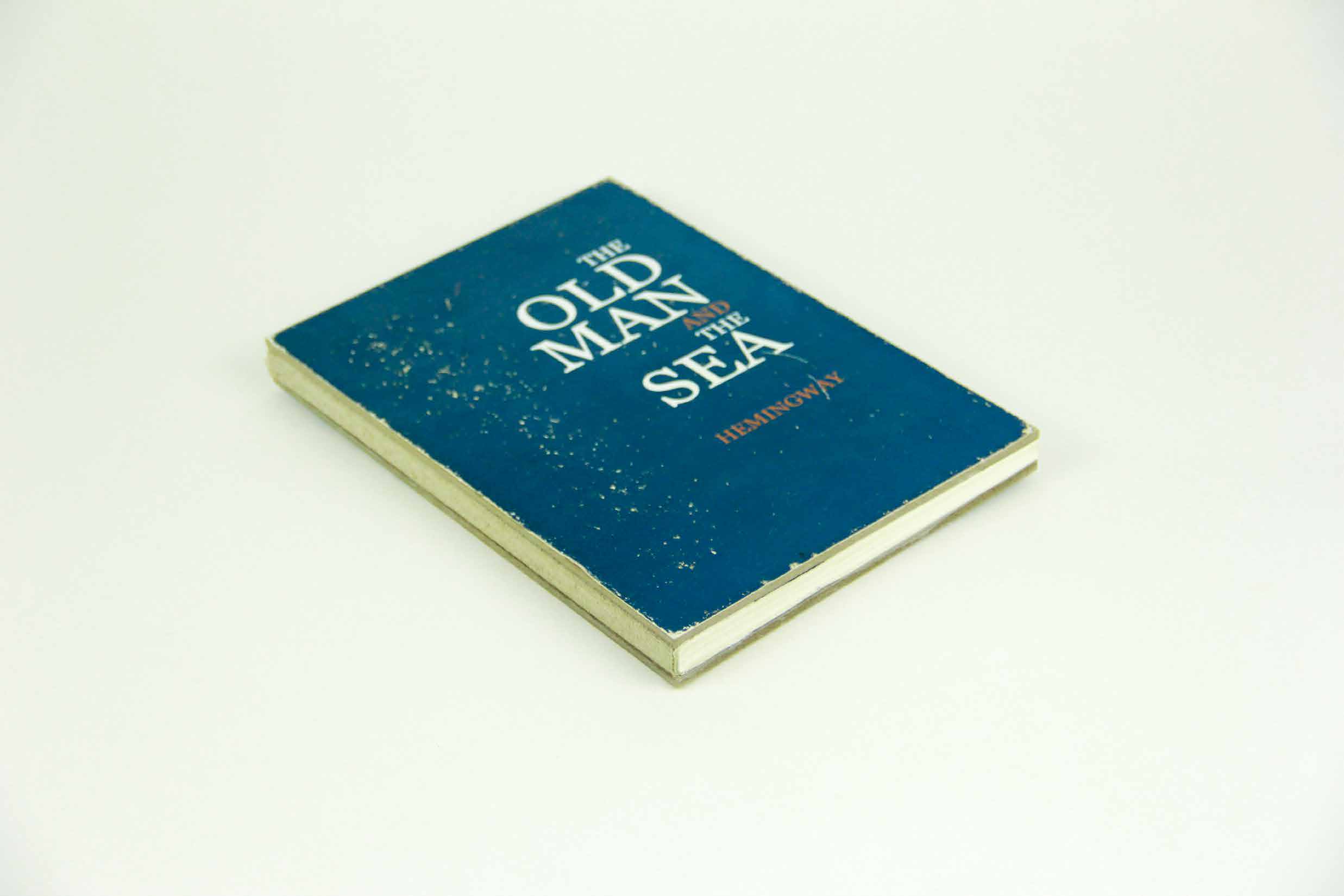 Finished book with a distressed blue cover and white title typography
