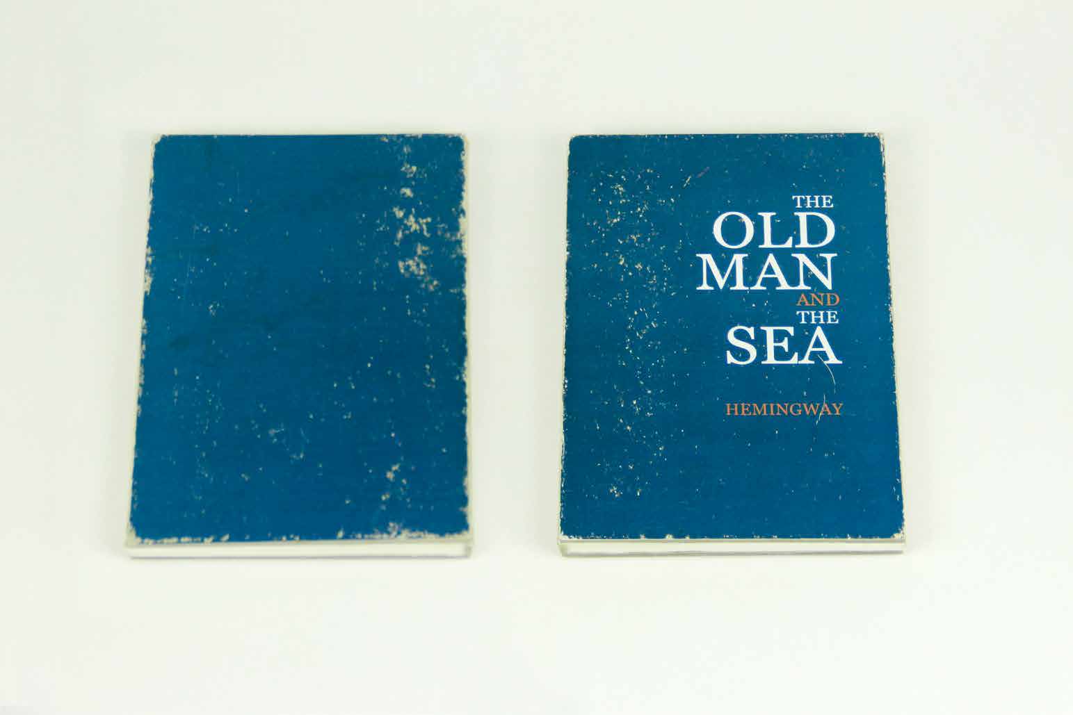 Front and back covers of the hand-bound edition shown together